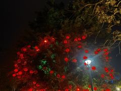 -厦门方特东方神画