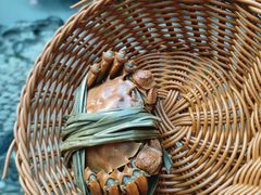 -蟹村草堂·苏式园林人文农家·大闸蟹