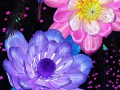 -厦门园林博览苑