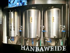 -汉巴味德·烤肉与啤酒的自助(杭州大悦城店)