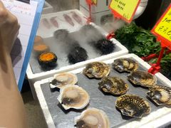 -蚝专家(北滘店)