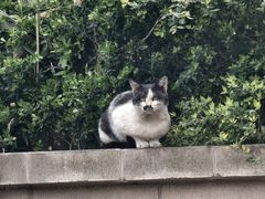 -旺泉餐饮店·清真牛肉面馆