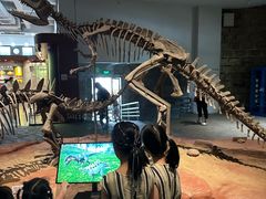 -自贡恐龙博物馆