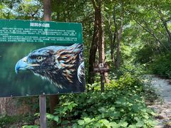 -湖洞水自然风景区