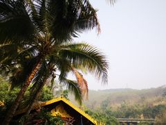 -西双版纳原始森林公园