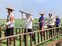 -洪湖生态旅游区