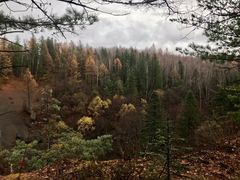 -峡谷浮石林景区