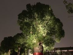 -养云安缦·廊
