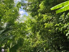 -中国科学院西双版纳热带植物园