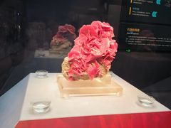 -湖南省地质博物馆