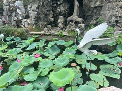 -安徽八里河旅游区