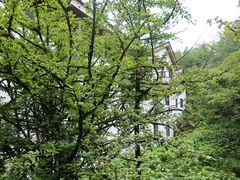 -山王坪喀斯特国家生态公园