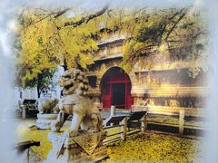 -北京石刻艺术博物馆(五塔寺)
