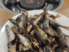-力哥地道海南菜·联谊文昌鸡老店