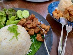 -Fern Forest Cafe
