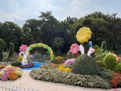 -上海共青森林公园