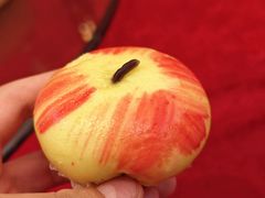 -椿记烧鹅(北门店)