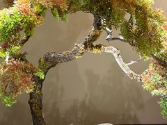 -湘上湘(正大中心总店)