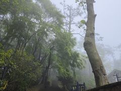 -莫干山风景区