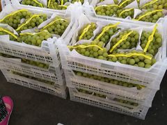 -西郊国际农产品交易中心