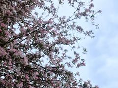 -成都南湖公园