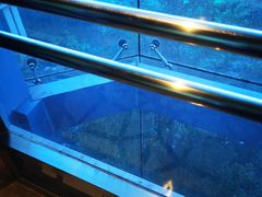 -春晖园度假酒店温泉