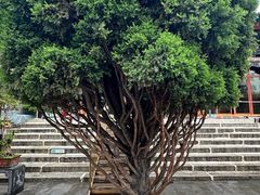 -东关清真大寺