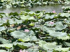 -苏州吴中太湖旅游区