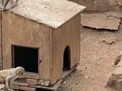 -昆明动物园
