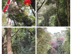 -广州市白云山风景名胜区