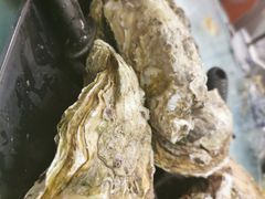 桑拿蠔-天宝食坊·啫啫煲大排档(西华路店)