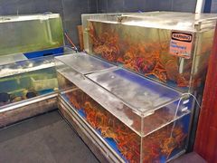 -馬車會海鮮酒樓