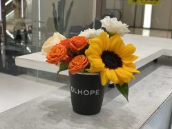 -DL HOPE明星造型