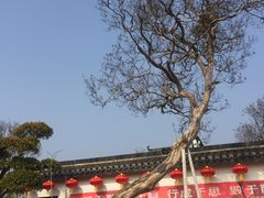 -武汉紫薇都市田园