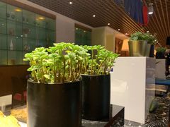 -上海丽笙精选海仑宾馆·莫赛克餐厅