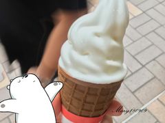 -富豪雪糕车流动点(尖沙咀店)