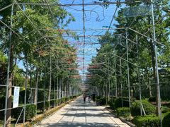 -南宫五洲植物乐园