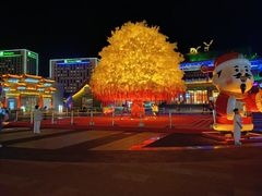 -鼎盛王朝康熙大典实景演出