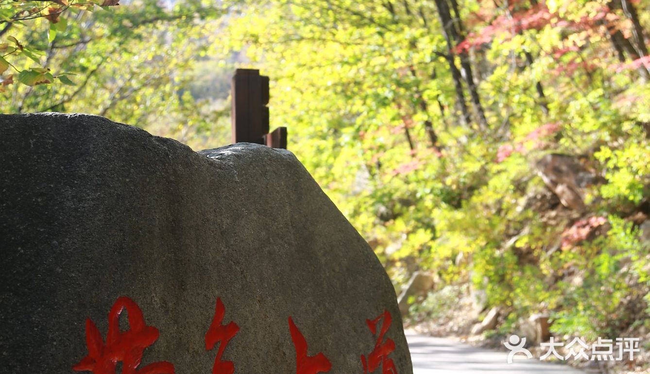 初见枫叶，并不满足