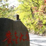 初见枫叶，并不满足