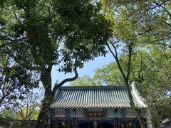 -古琴台