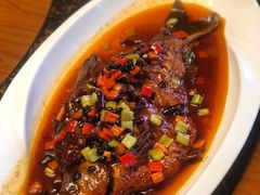 -老江南春·中国龙菜(衡山路店)