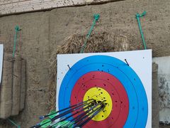 -道顺射箭·团建·骑射(张杨路店)