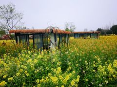 -洪湖家庭农场·团建·露营·会议