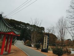 -九科绿洲