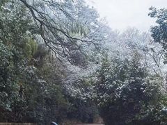 -紫金山山顶公园