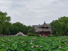 -莲池书院博物馆