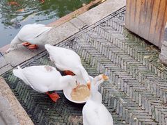 -苏州碑刻博物馆