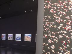 -罗红摄影艺术馆