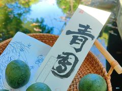 -阮大兴糕团(日月光中心店)